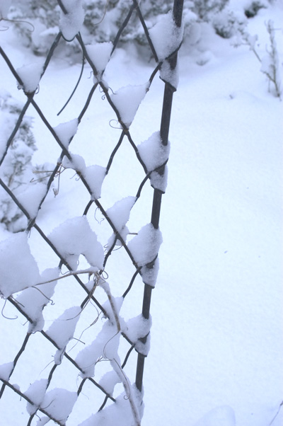 dsc_0013.jpg