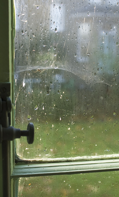 dsc_0019autumn-rain-09.jpg