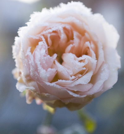 dsc_00623.jpg